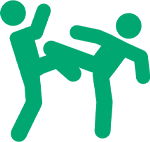 Icon of a martial arts fight